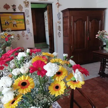 Anticadimora Dei Pepe Salve