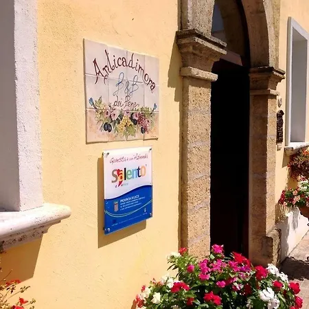 Anticadimora Dei Pepe Salve