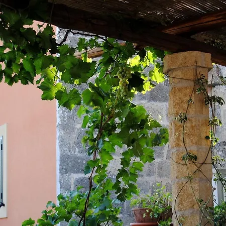 Anticadimora Dei Pepe Salve