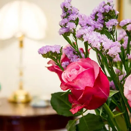 Anticadimora Dei Pepe Bed & Breakfast Salve