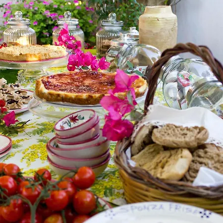 Anticadimora Dei Pepe Bed & Breakfast Salve